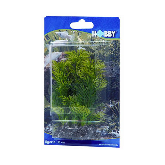 Dohse HOBBY Egeria