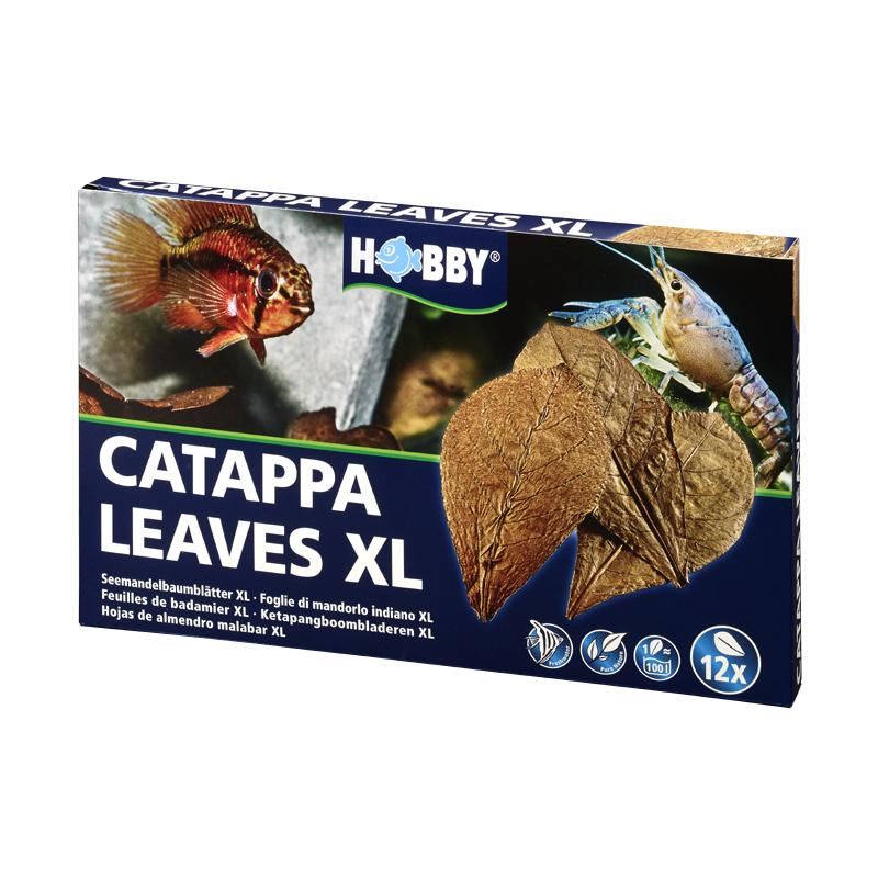 Dohse HOBBY Catappa Leaves XL