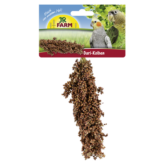 JR Birds Dari-Kolben
