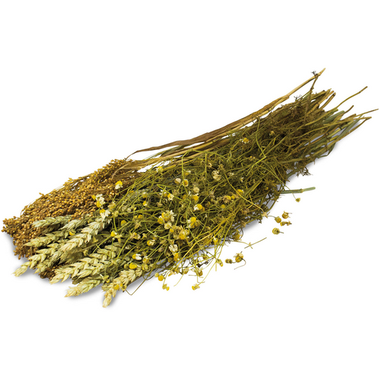 JR Farm Ein Stück Natur 80g