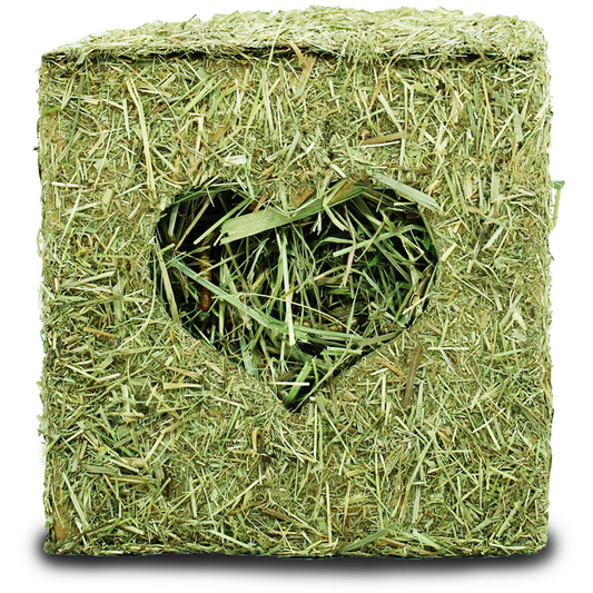 JR Heu-Würfel klein mit Mehlwürmer 125g