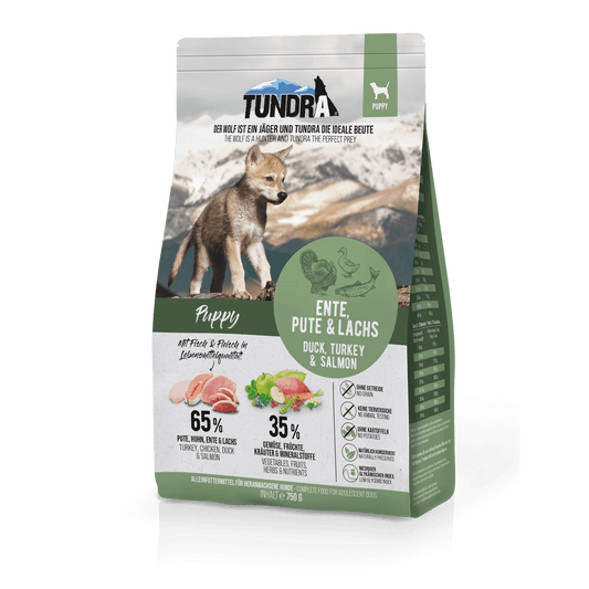 Tundra Puppy - Mountain