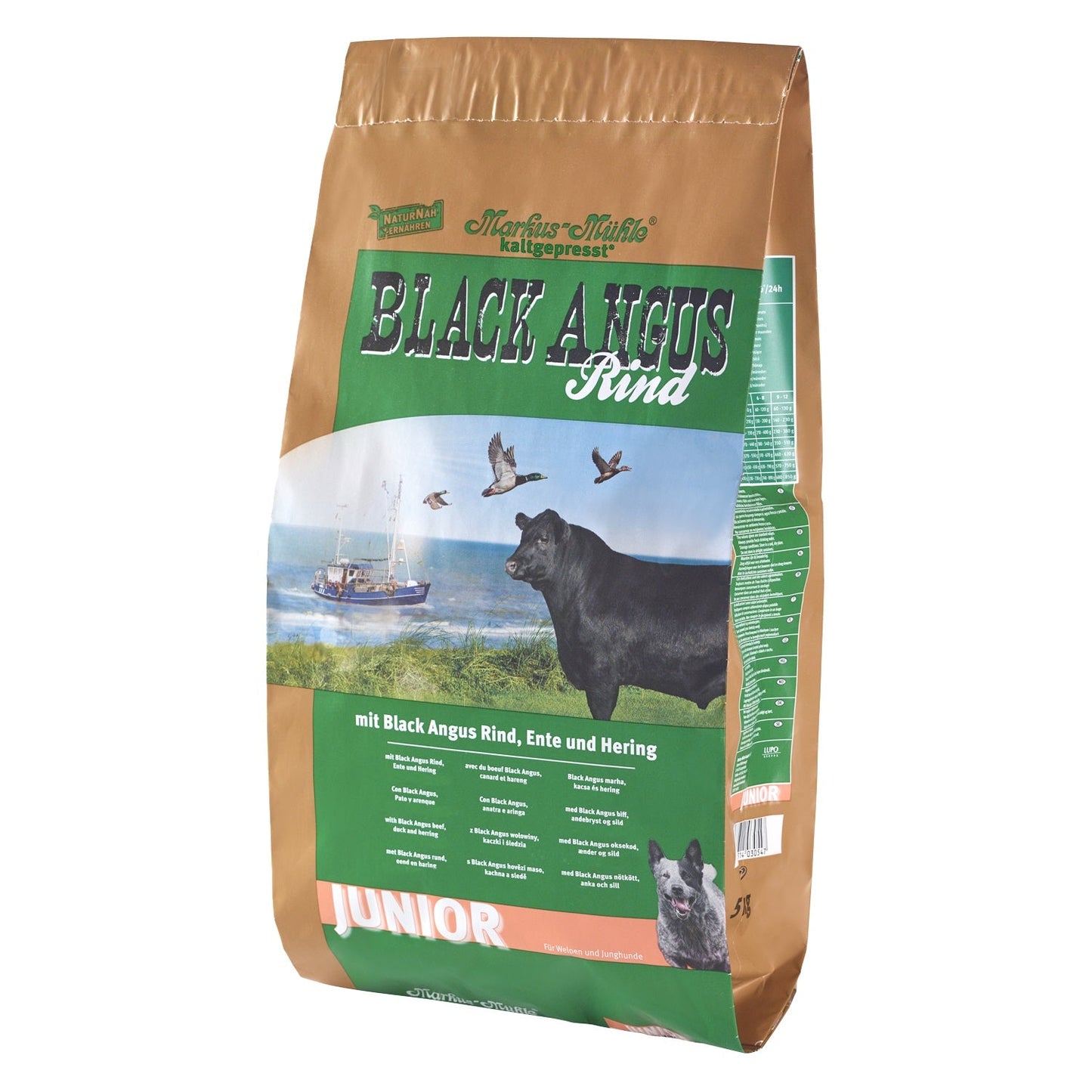 Markus Mühle Angus Junior