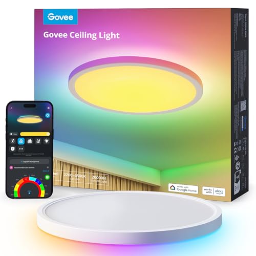 Govee Deckenleuchte - Smart LED, 24W Ø30cm