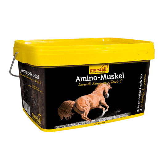marstall Amino-Muskel Eimer