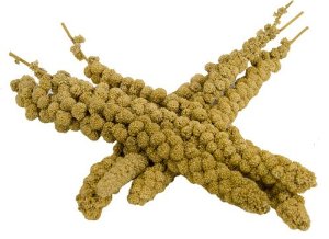 Kolbenhirse chinesisch