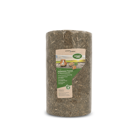 Schlemmer-Tunnel Meerschweinchen