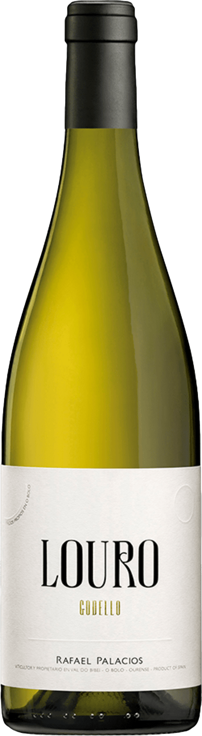 Rafael Palacios Louro 2024