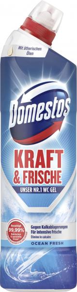 Domestos Kraft & Frische WC-Gel Ocean Fresh