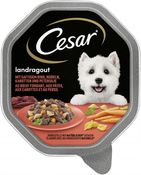 Cesar Landragout mit saftigem Rind, Nudeln, Karotten und Petersilie