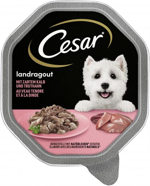 Cesar Landragout mit zartem Kalb und Truthahn
