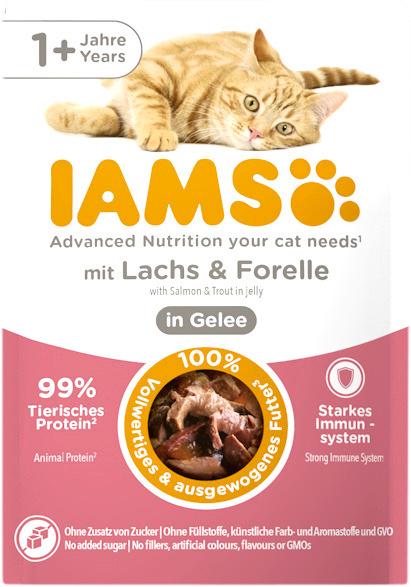 Iams Cat 1+ mit Lachs & Forelle in Gelee