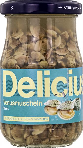 Delicius Venusmuscheln ohne Schale in Salzlake