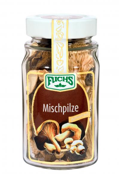 Fuchs Mischpilze getrocknet