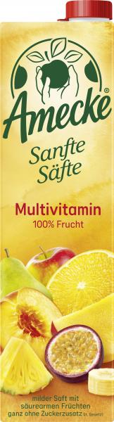 Amecke Sanfte Säfte Multivitamin