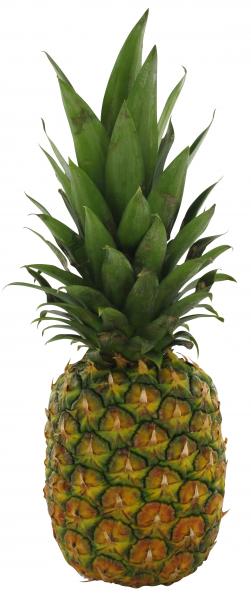Ananas