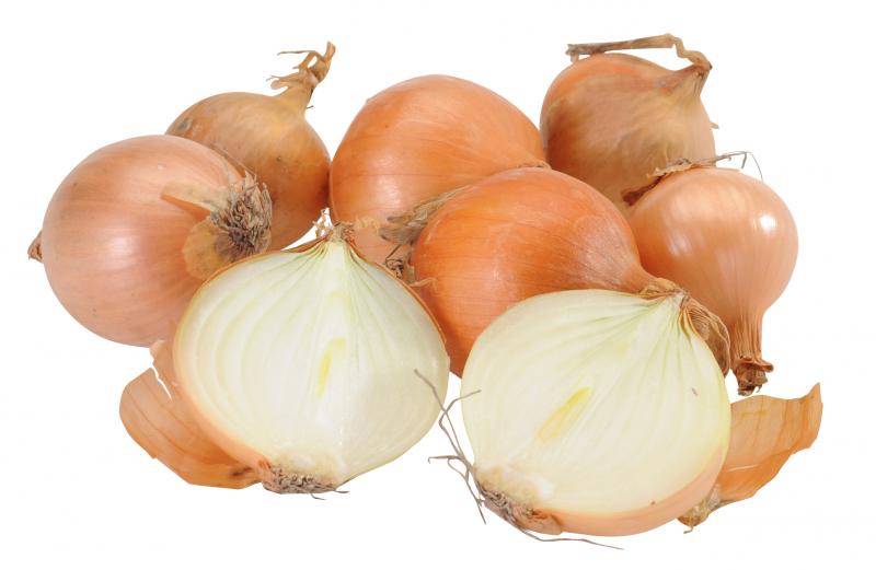 Bio Zwiebeln im Netz