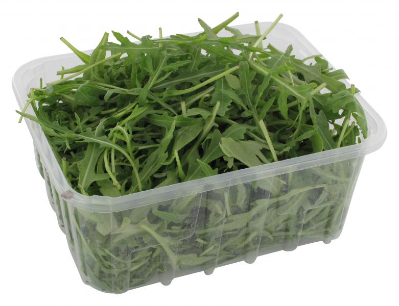 Bio Rucola Salat