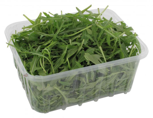 Bio Rucola Salat