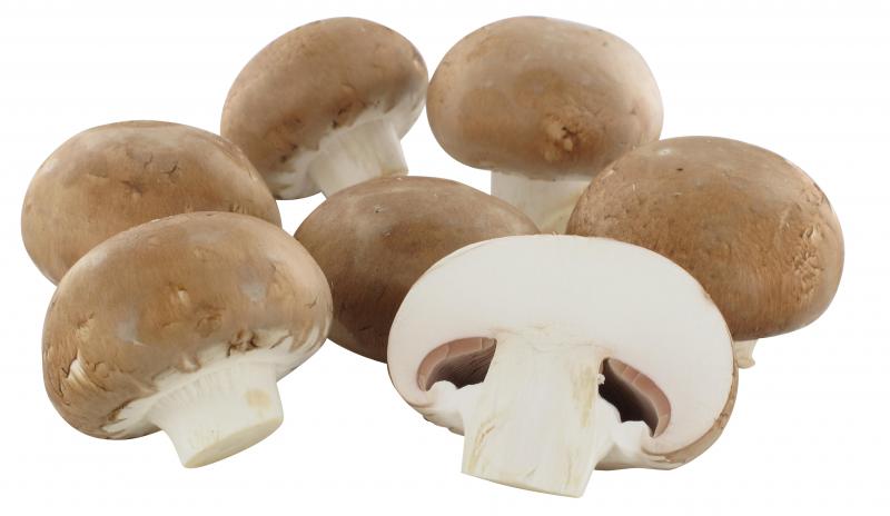 Hofwerte Creme Champignons