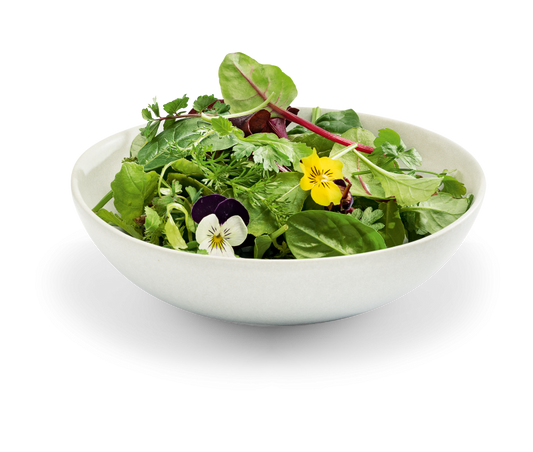 Wildkräutersalat