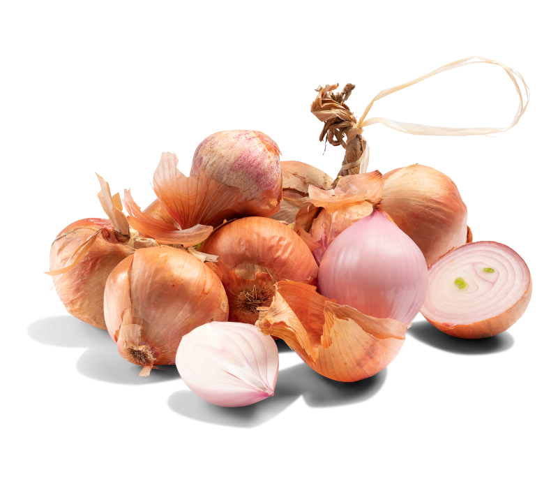 Zwiebel Roscoff