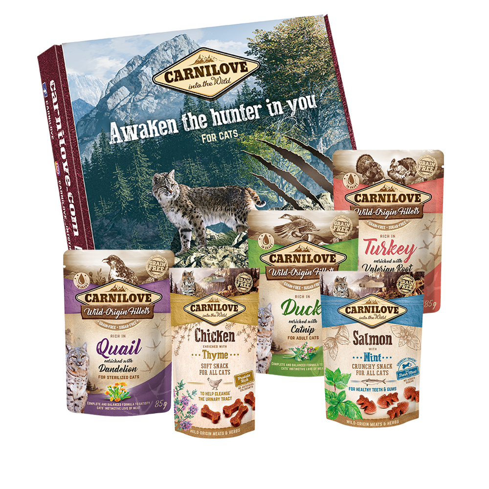 Carnilove Cat AKTIONS-Box "Into the Wild"
