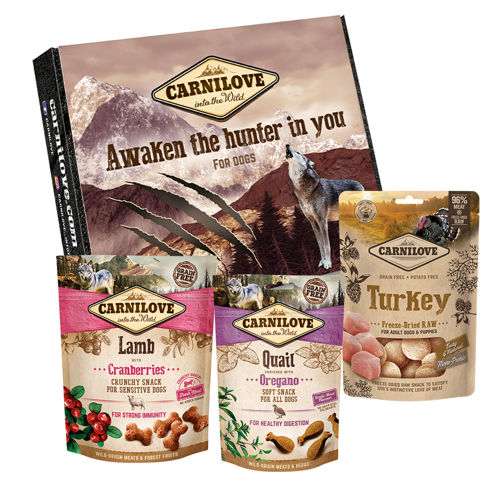 Carnilove Dog AKTIONS-Box "Into the Wild"