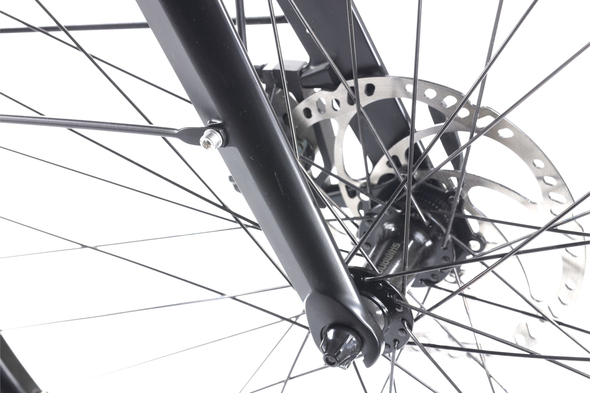 Gazelle Avignon C8 HMB Connect - 2023 - cm