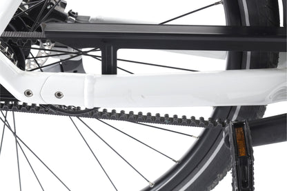 Gazelle Chamonix C5 HMS - 2021 - cm