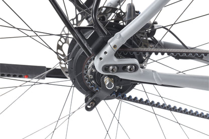 Riese &amp; Müller Roadster Vario - 2023 - cm