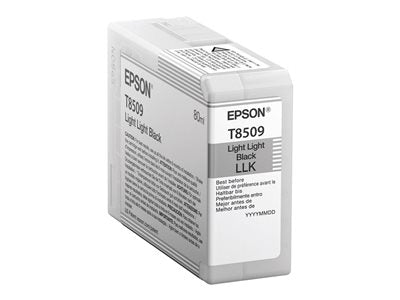 EPSON 5LB Singlepack Light Light Black