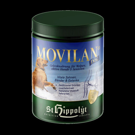 St. Hippolyt Movilan Dog