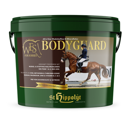 St. Hippolyt WES Bodyguard