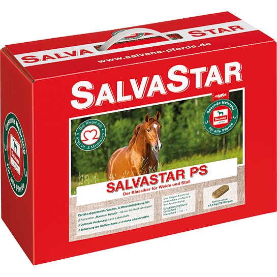 Salvana Salvastar PS-Brikett