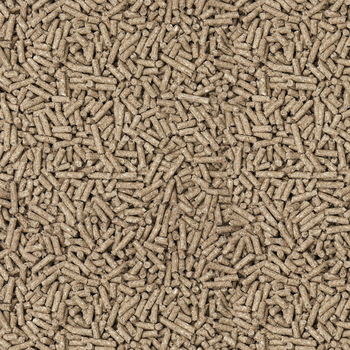 Höveler Terabb Junior (ehem. FS 16)