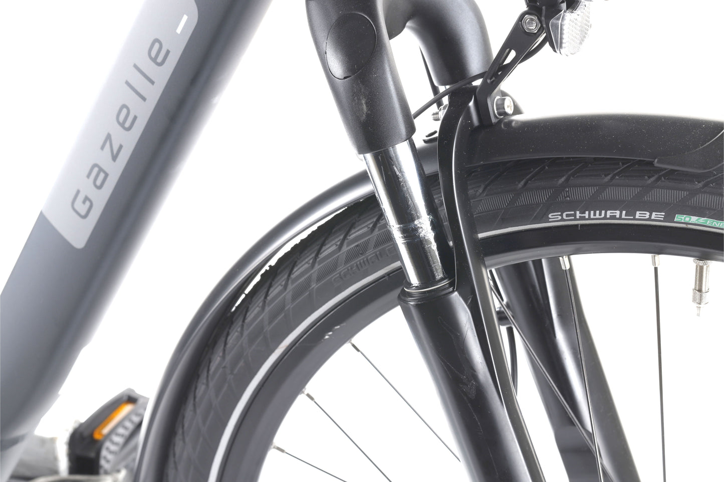 Gazelle PARIS C7 HMB - 2024 - cm