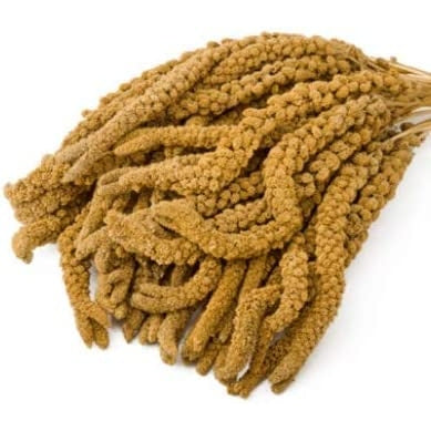 Versele Kolbenhirse China