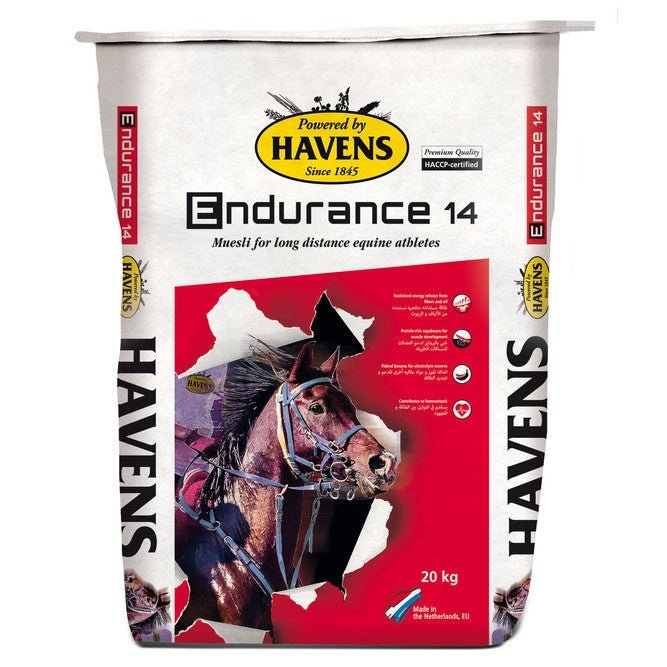 Havens Endurance