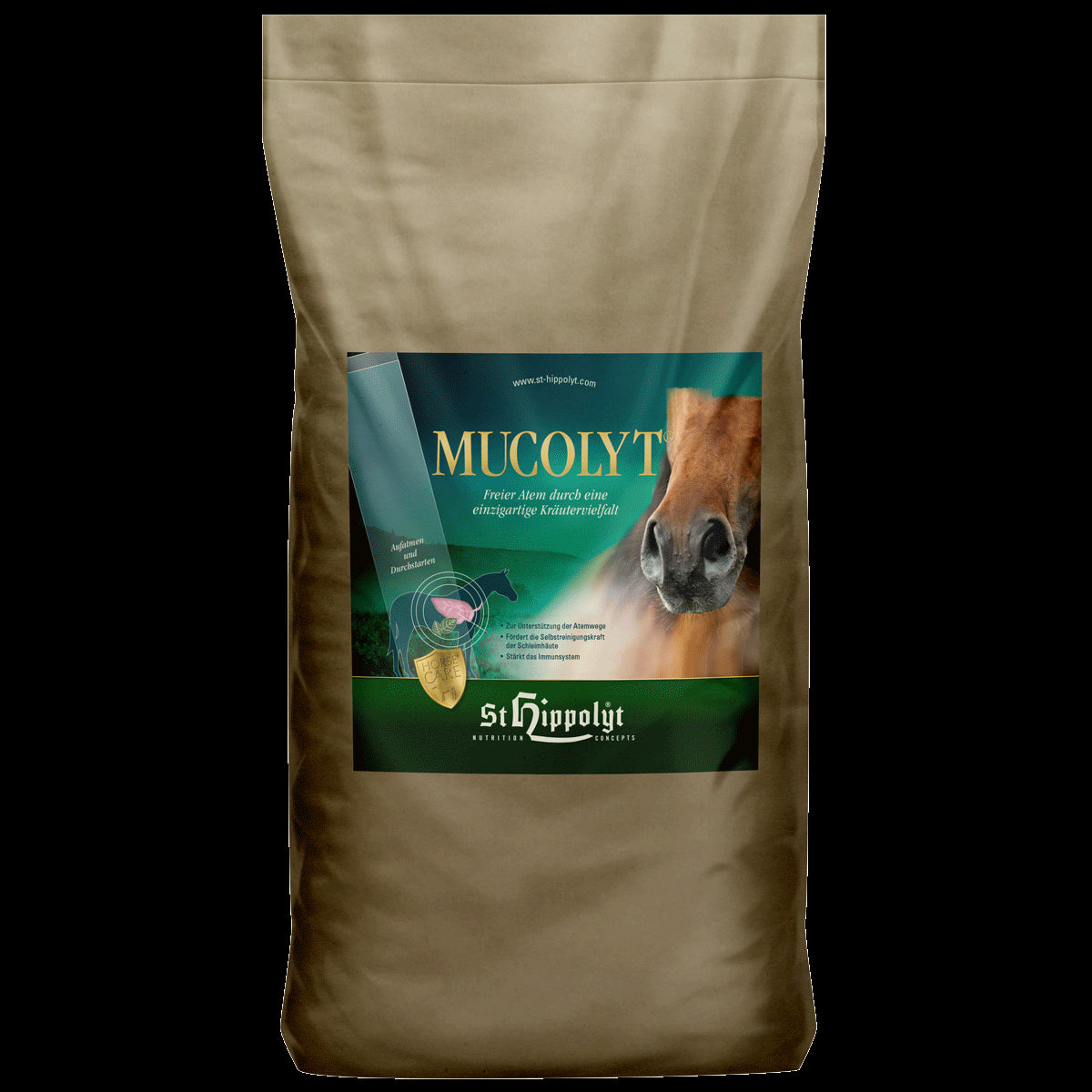 St. Hippolyt Mucolyt Atemwegskur