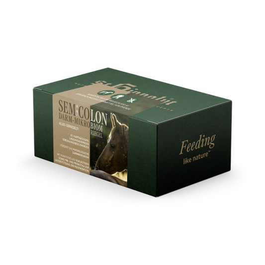 St. Hippolyt SemiColon Riegel