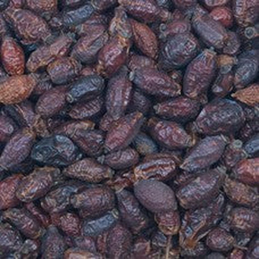 Nösenb. Hagebutte ganz