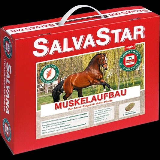 Salvana Salvastar Muskelaufbau