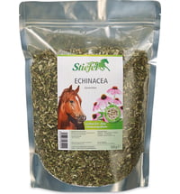 Stiefel Echinacea geschnitten