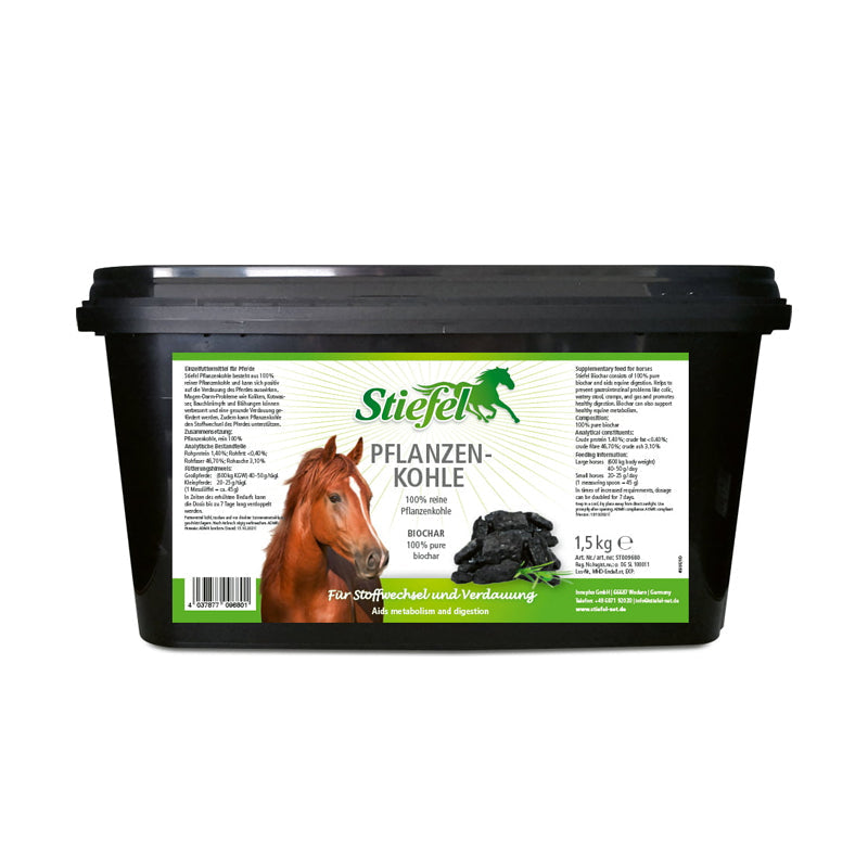 Stiefel Pflanzenkohle