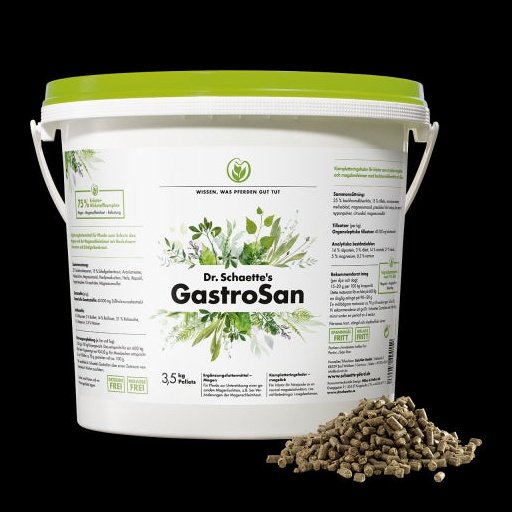 Dr. Schaette GastroSan