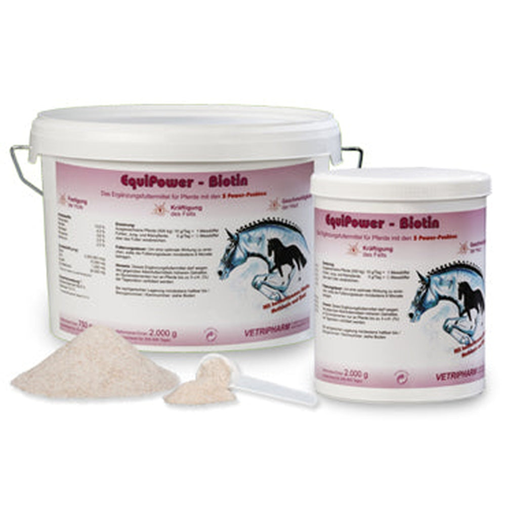 Equipower Biotin