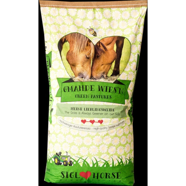 Siglhorse Gmahde Wies'n