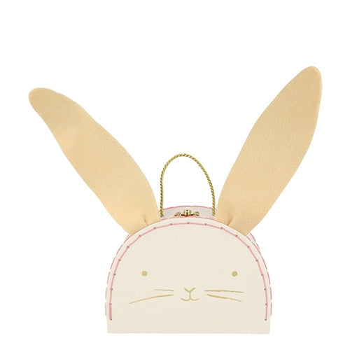 Hase im Koffer