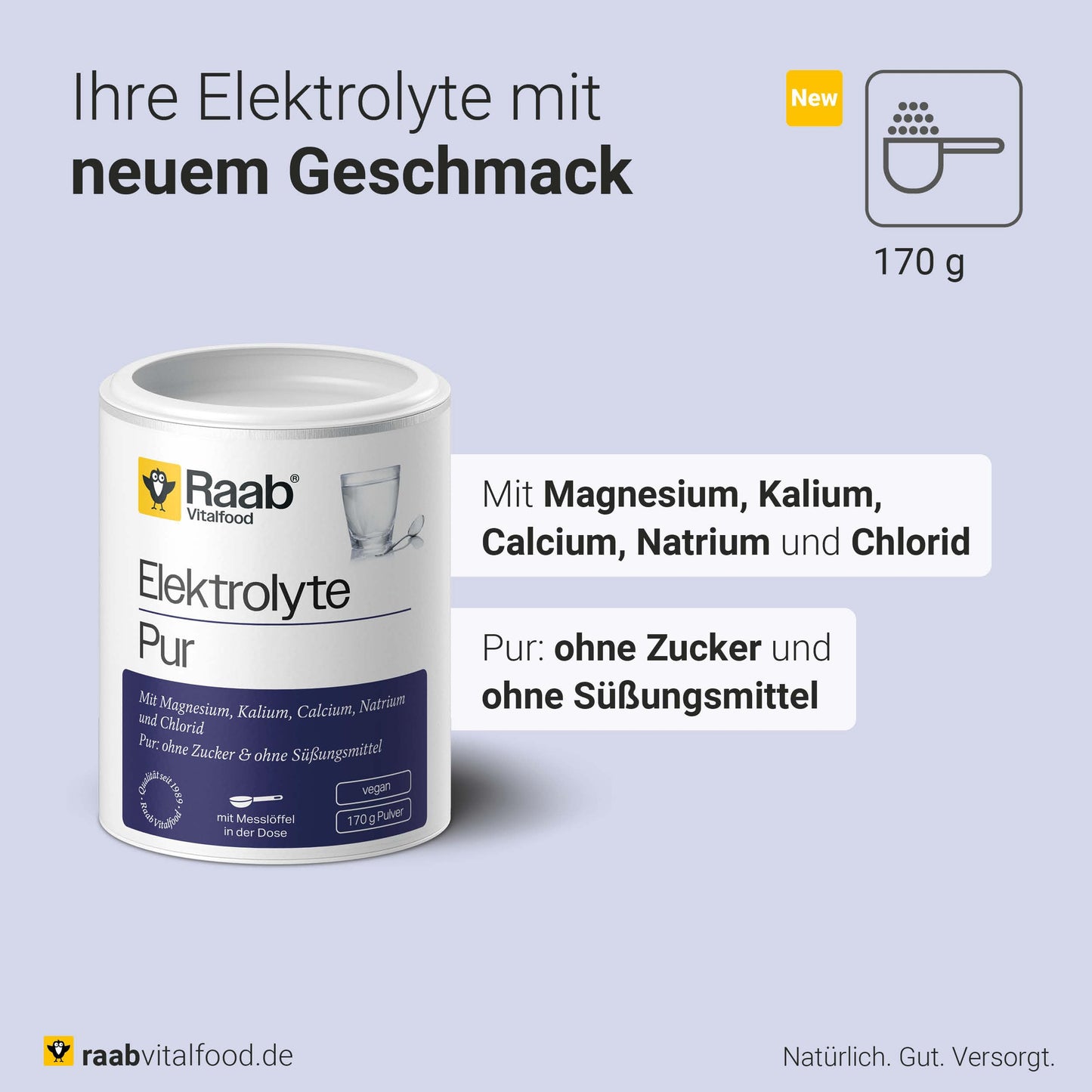 Raab Vitalfood - Pure Electrolytes, 170 g Vegan